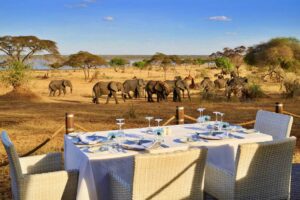 Explore Tanzania Safari